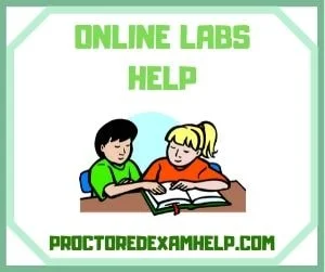 Online Labs Help